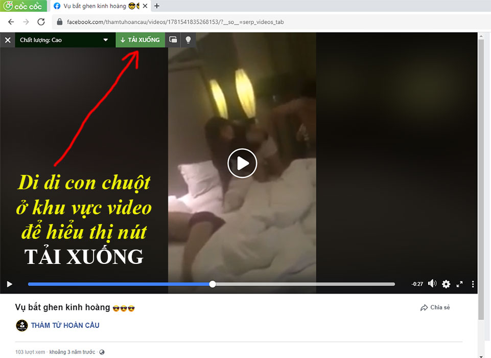 Cách tải video HD trên Facebook về máy tính miễn phí