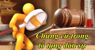 Chứng cứ trong tố tụng dân sự là gì? Đặc điểm, xác minh, thu thập, ví dụ