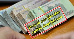 Mẫu đơn tố cáo lừa đảo chiếm đoạt tài sản qua mạng