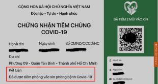 Cách tra cứu chứng nhận tiêm chủng trên Zalo lấy thẻ xanh đã tiêm 2 mũi