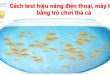 Cách sử dụng Fish Bowl test hiệu năng điện thoại, máy tính online