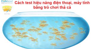 Cách sử dụng Fish Bowl test hiệu năng điện thoại, máy tính online