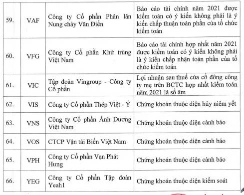 Cổ phiếu Vingroup bị cấm ký quỹ vì lợi nhuận sau thuế 2021 là số âm