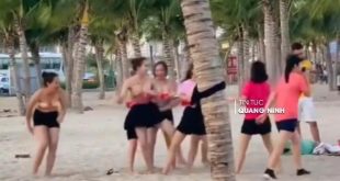 Video clip teambuilding Hạ Long, Quảng Ninh phản cảm