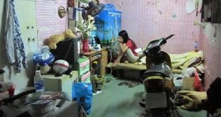 Vợ chồng nên về quê mua nhà hay ở phòng trọ Hà Nội?